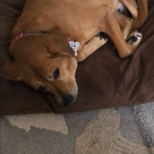 Meet your Posher, Robert